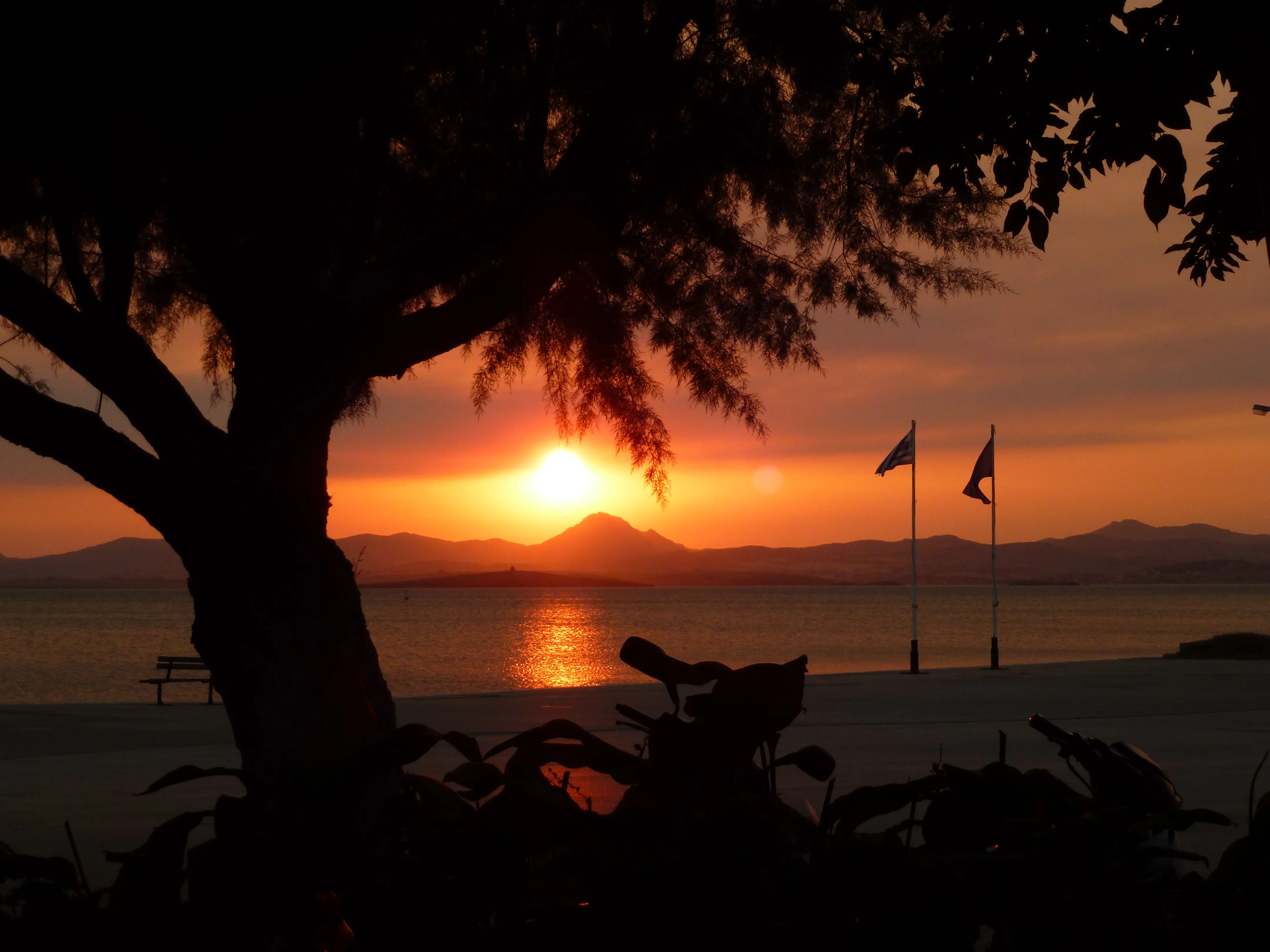 Sunset over calm sea with silhouetted tree and flags, reflecting orange and gold hues. Mountains in the distance create a peaceful scene.